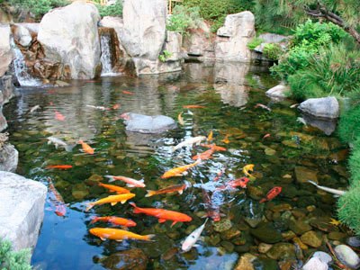 Городок "Неизвестность" от Leo653