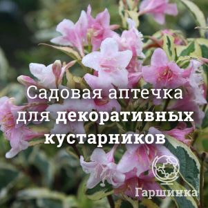 Аптечка для декоративных кустарников и деревьев