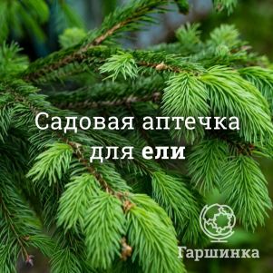 Аптечка для елей