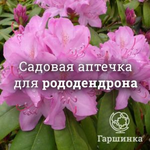 Аптечка для рододендронов