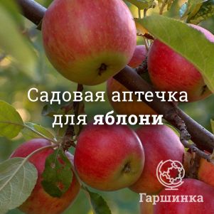 Аптечка для яблонь