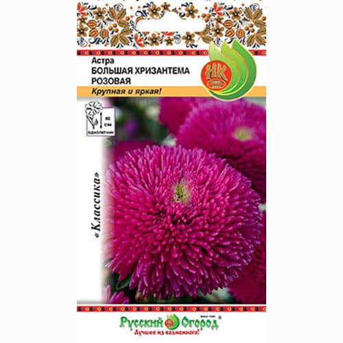 Астра Большая хризантема розовая Русский огород НК