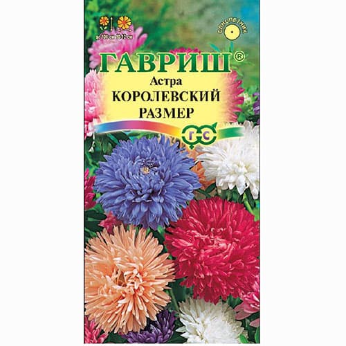 Астра Королевский размер, смесь окрасок Гавриш