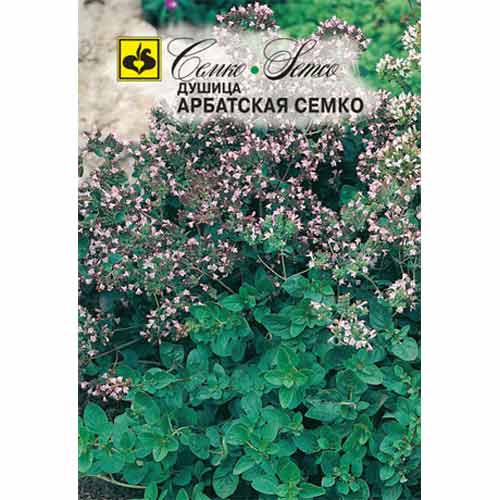 Душица (орегано) Арбатская Семко Семко