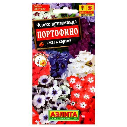 Флокс Портофино, смесь окрасок Аэлита