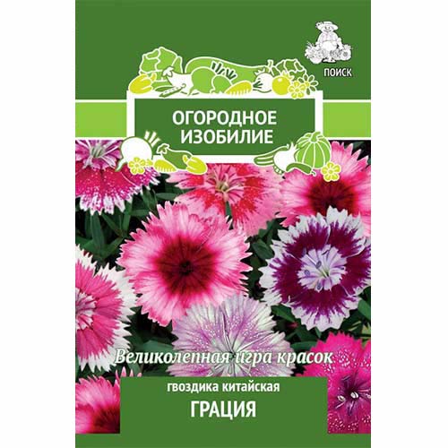 Гвоздика китайская Грация, смесь окрасок Поиск