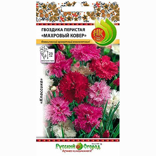 Гвоздика перистая Махровый ковер, смесь окрасок Русский огород НК