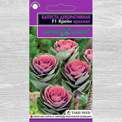 Капуста декоративная Крейн красная F1 Гавриш