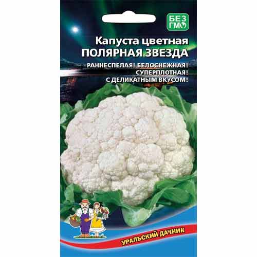 Капуста цветная Полярная звезда Уральский дачник