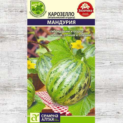 Карозелло Мандурия (итальянский огурец)