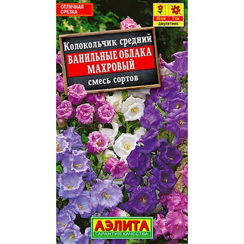 Колокольчик средний Ванильные облака, смесь окрасок Аэлита