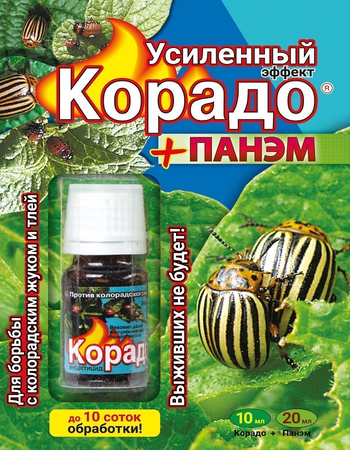 Корадо+Панэм, Усиленный эффект, 10 мл+5*4 мл (синий)