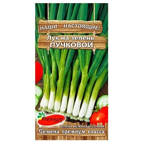 Лук на зелень Пучковой Premium Seeds