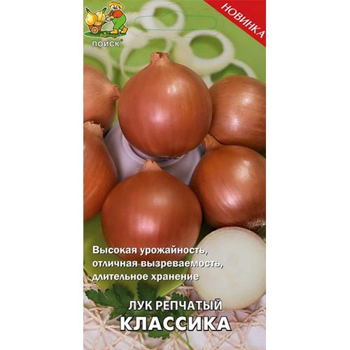 Лук репчатый Классика Поиск