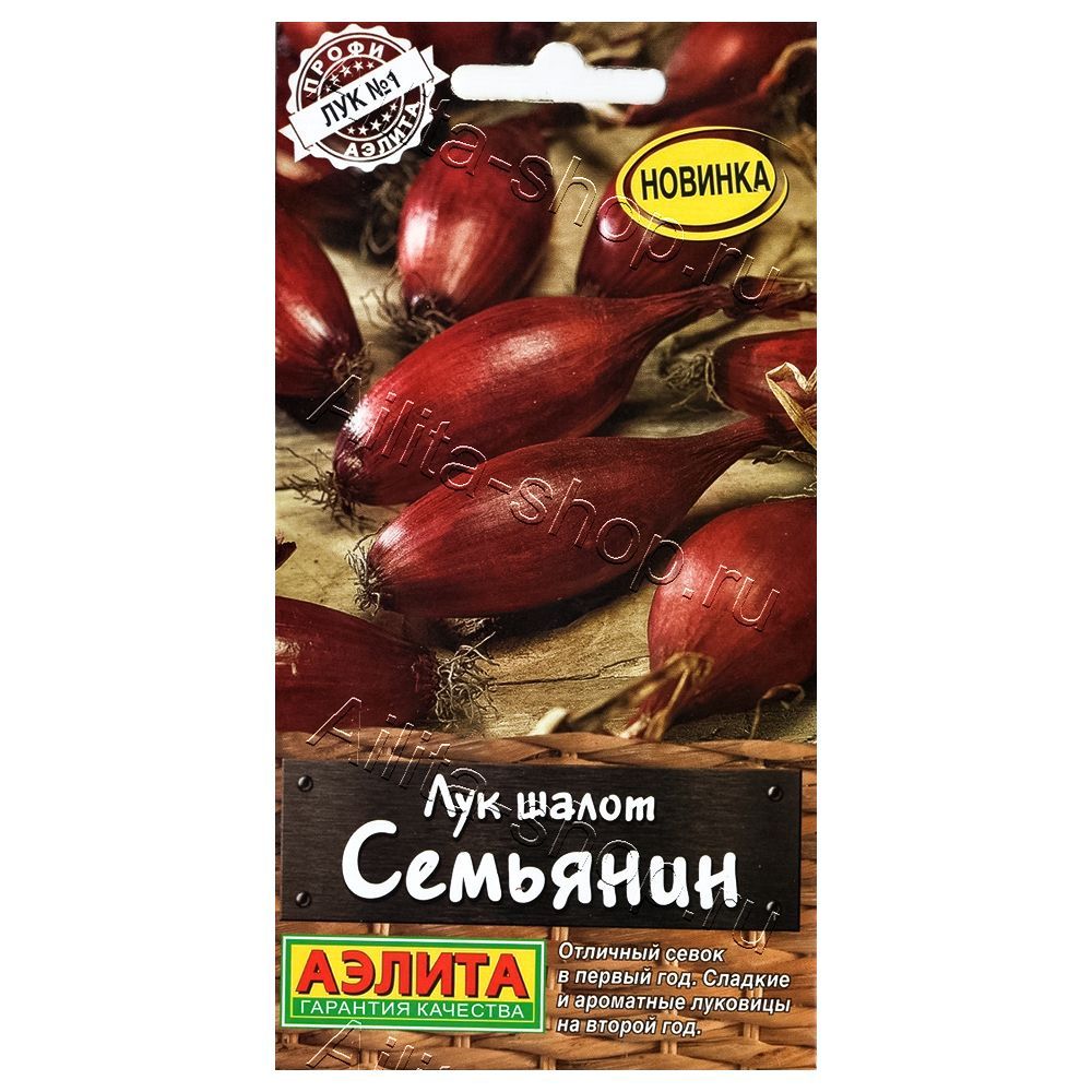 Лук шалот Семьянин Аэлита