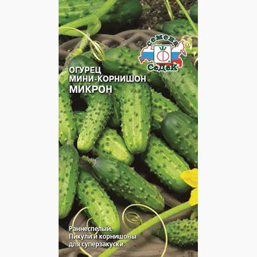 Огурец корнишон Микрон  Седек