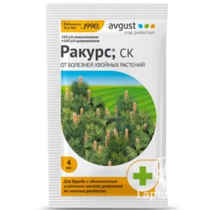 Ракурс 4 мл