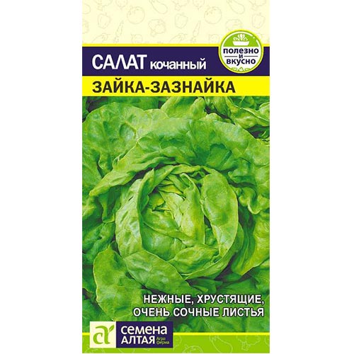 Салат кочанный Зайка-Зазнайка Семена Алтая