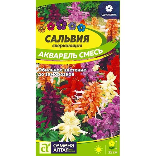 Сальвия Акварель, смесь окрасок Семена Алтая