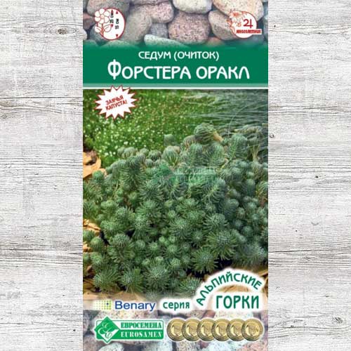 Седум Форстера Оракл