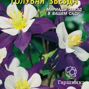 Семена  Аквилегия Голубая звезда  0,05 гр Плазменные семена