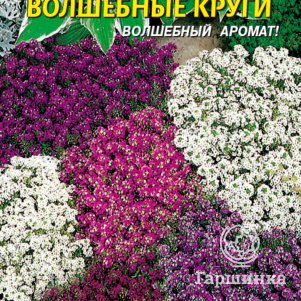 Семена  Алиссум Волшебные круги  0,1 гр Плазменные семена