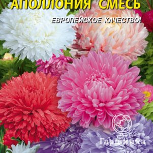 Семена  Астра Апполония смесь  0,2 гр Плазменные семена