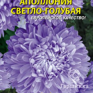 Семена  Астра Апполония Светло-голубая  0,2 гр Плазменные семена