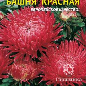 Семена  Астра Башня Красная  0,3 гр Плазменные семена