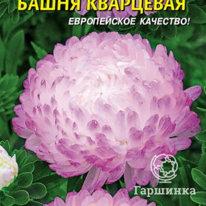 Семена  Астра Башня Кварцевая  0,3 гр Плазменные семена