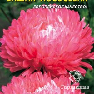 Семена  Астра Башня Лососевая  0,3 гр Плазменные семена