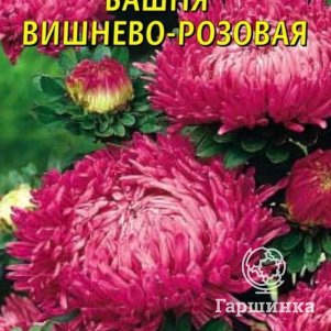 Семена  Астра Башня Вишнево-розовая  0,3 гр Плазменные семена