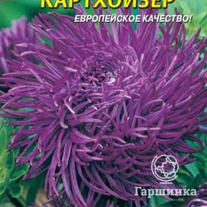 Семена  Астра Картхойзер  0,2 гр Плазменные семена