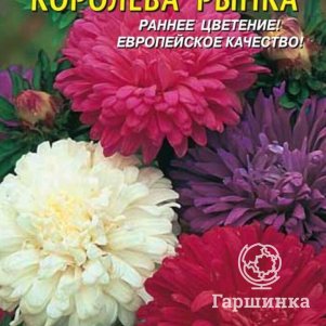 Семена  Астра Королева рынка  0,3 гр Плазменные семена