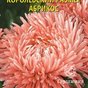 Семена  Астра Королевский размер, АБРИКОС  0,1 гр Плазменные семена