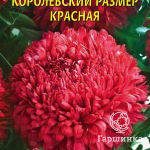 Семена  Астра Королевский размер, КРАСНАЯ  0,1 гр Плазменные семена