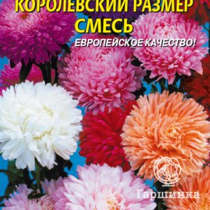 Семена  Астра Королевский размер, смесь  0,1 гр Плазменные семена