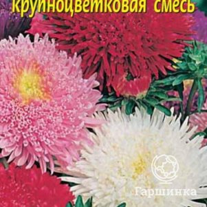 Семена  Астра Принова крупноцветковая смесь  0,2 гр Плазменные семена