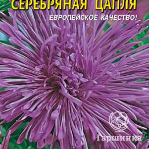 Семена  Астра Серебряная цапля  0,3 гр Плазменные семена