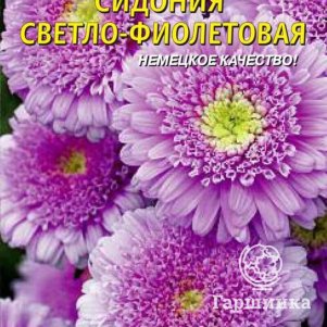 Семена  Астра Сидония Светло-фиолетовая  0,2 гр Плазменные семена