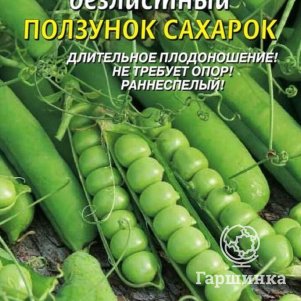 Семена  Горох Ползунок-сахарок безлистный  5 гр Плазменные семена