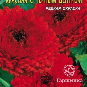 Семена  Календула Красная с чёрным центром  0,3 гр Плазменные семена