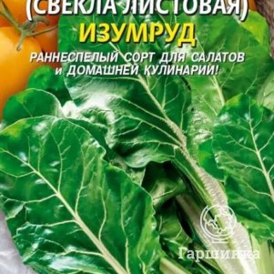 Семена  Мангольд (Свекла листовая) Изумруд  2 гр Плазменные семена