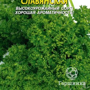 Семена  Петрушка кудрявая Славянская  2 гр Плазменные семена