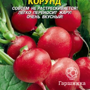 Семена  Редис Корунд  2 гр Плазменные семена