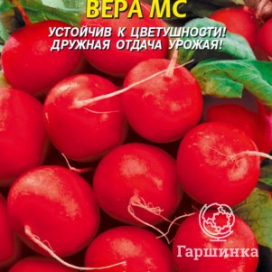 Семена  Редис Вера МС  2 гр Плазменные семена