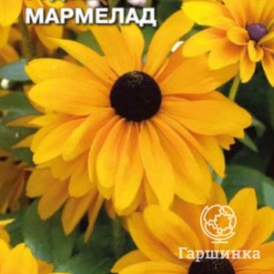 Семена  Рудбекия Мармелад  0,1 гр Плазменные семена