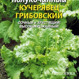 Семена  Салат Кучерявец Грибовский  0,5 гр Плазменные семена