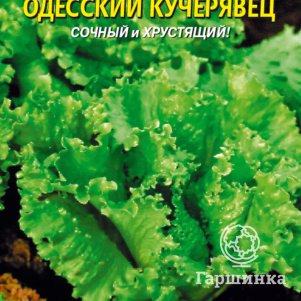 Семена  Салат Одесский кучерявец  0,5 гр Плазменные семена