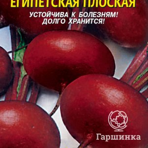 Семена  Свекла Египетская плоская  2,5 гр Плазменные семена